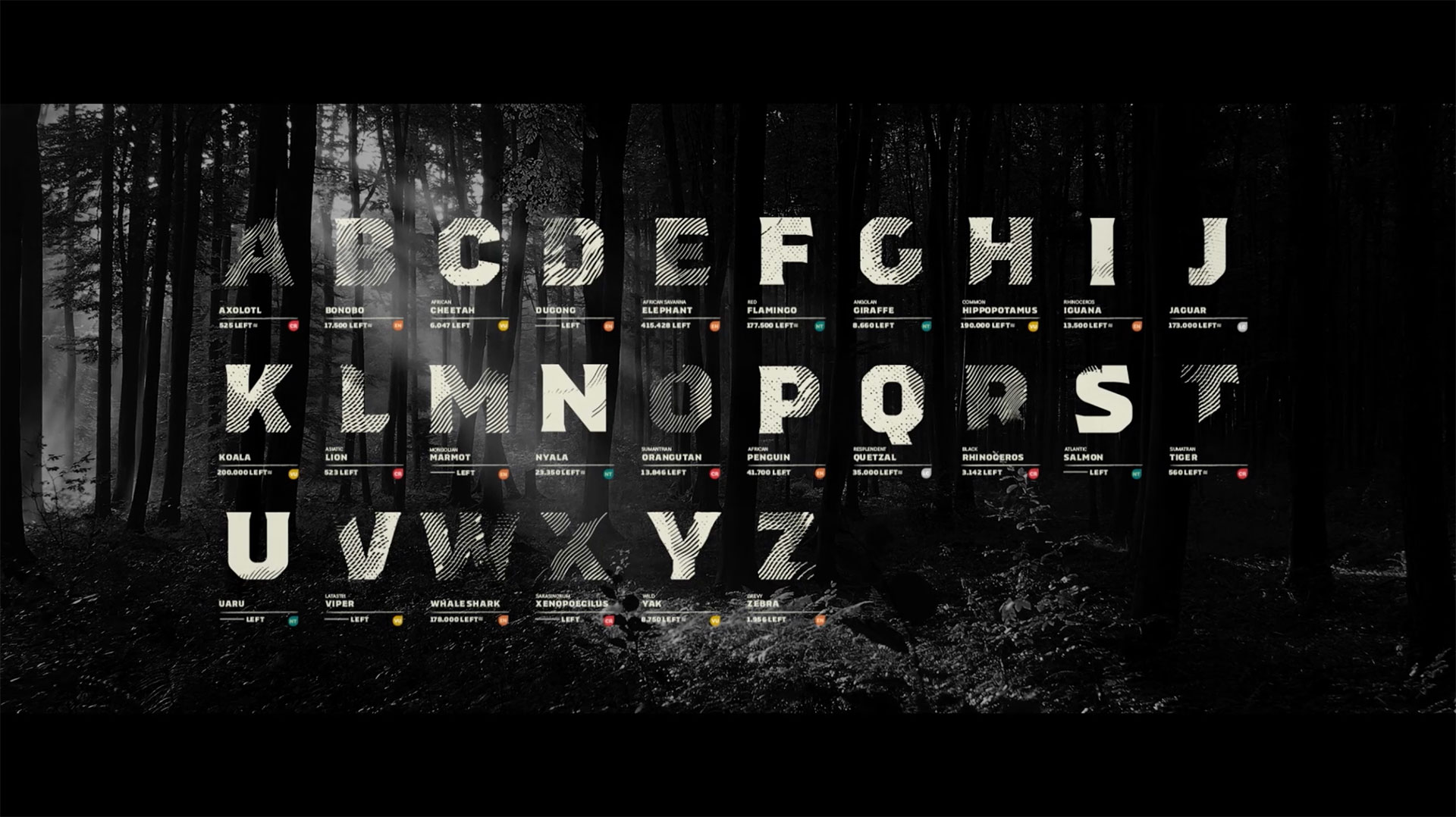 The Endangered Typeface